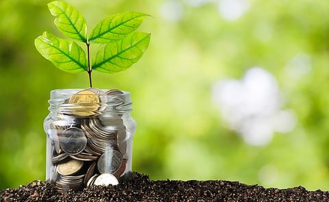 Cosun potato processing subsidiary Aviko posts highest operating profit ever Cosun potato processing subsidiary Aviko posts highest operating profit ever