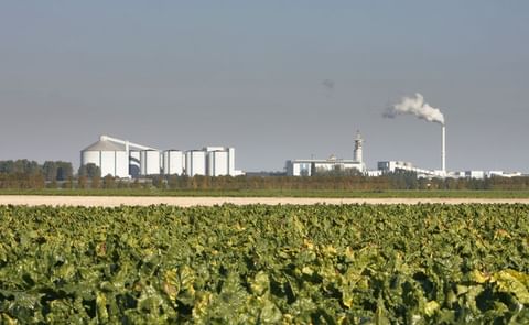 Royal Cosun core activity is the production of sugar from sugar beets. Above a view of the Suiker Unie plant in Dinteloord, with a field of sugar beets in the foreground. Royal Cosun core activity is the production of sugar from sugar beets. Above a view of the Suiker Unie plant in Dinteloord, with a field of sugar beets in the foreground.