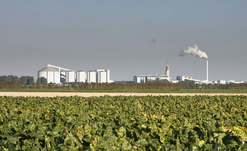 Royal Cosun core activity is the production of sugar from sugar beets. Above a view of the Suiker Unie plant in Dinteloord, with a field of sugar beets in the foreground.