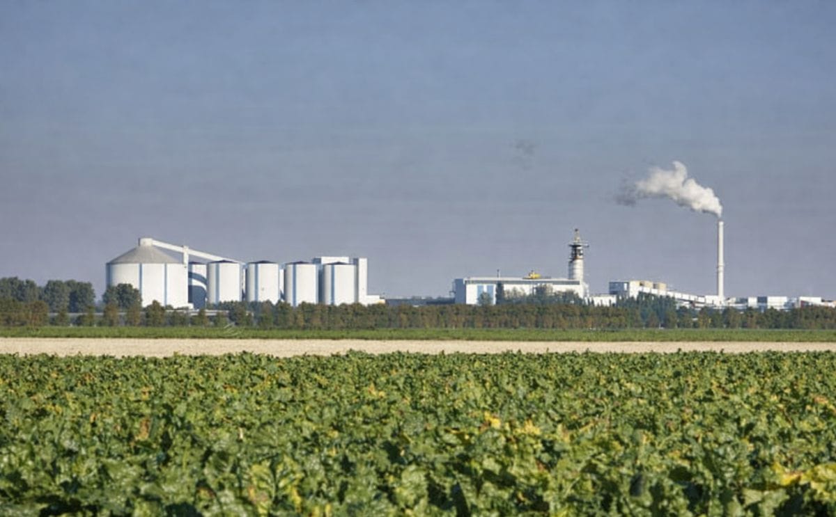 Cosun presents financial results; Aviko performance improved Cosun presents financial results; Aviko performance improved