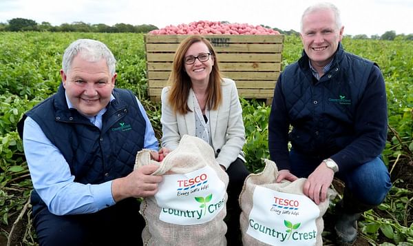 Potato grower and packer Country Crest extends contract with Tesco Ireland in €60 million deal