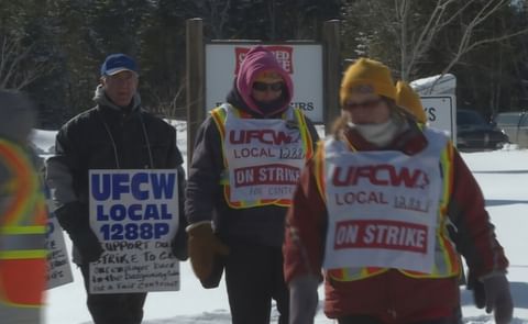 Workers at Covered Bridge Potato Chips walking the picket line striking over wages and seniority issues (Courtesy: CBC) Workers at Covered Bridge Potato Chips walking the picket line striking over wages and seniority issues (Courtesy: CBC)