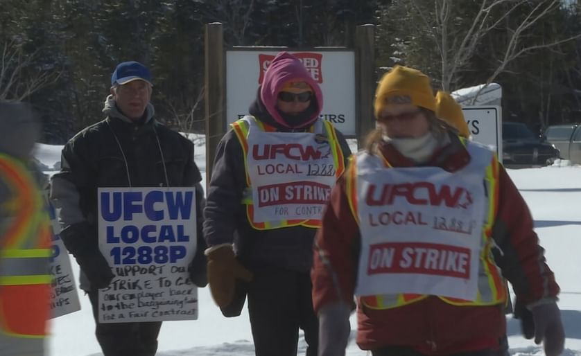 Workers at Covered Bridge Potato Chips walking the picket line striking over wages and seniority issues (Courtesy: CBC) 