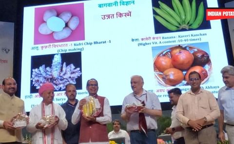 Union Minister Shivraj Singh Chouhan launches Kufri Chip Bharat-1, a new potato processing variety by ICAR-CPRI, at ICAR Foundation Day in New Delhi. Union Minister Shivraj Singh Chouhan launches Kufri Chip Bharat-1, a new potato processing variety by ICAR-CPRI, at ICAR Foundation Day in New Delhi.
