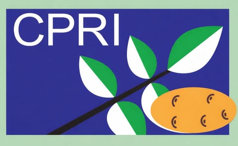 CPRI develops potatoes resistant to cold-induced sweetening CPRI develops potatoes resistant to cold-induced sweetening