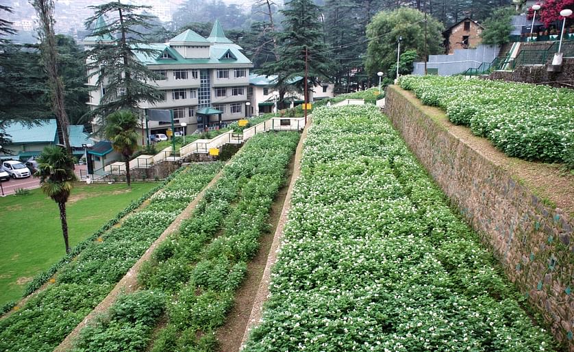 CPRI Shimla Potato Research Institute