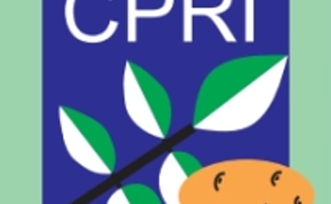 CPRI develops potatoes resistant to cold-induced sweetening CPRI develops potatoes resistant to cold-induced sweetening