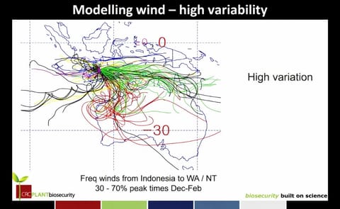 Modelling wind: 5 years daily wind trajectory 1994-1998 for the month February (Courtesy: CRC Plant biosecurity; earlier research). Modelling wind: 5 years daily wind trajectory 1994-1998 for the month February (Courtesy: CRC Plant biosecurity; earlier research).