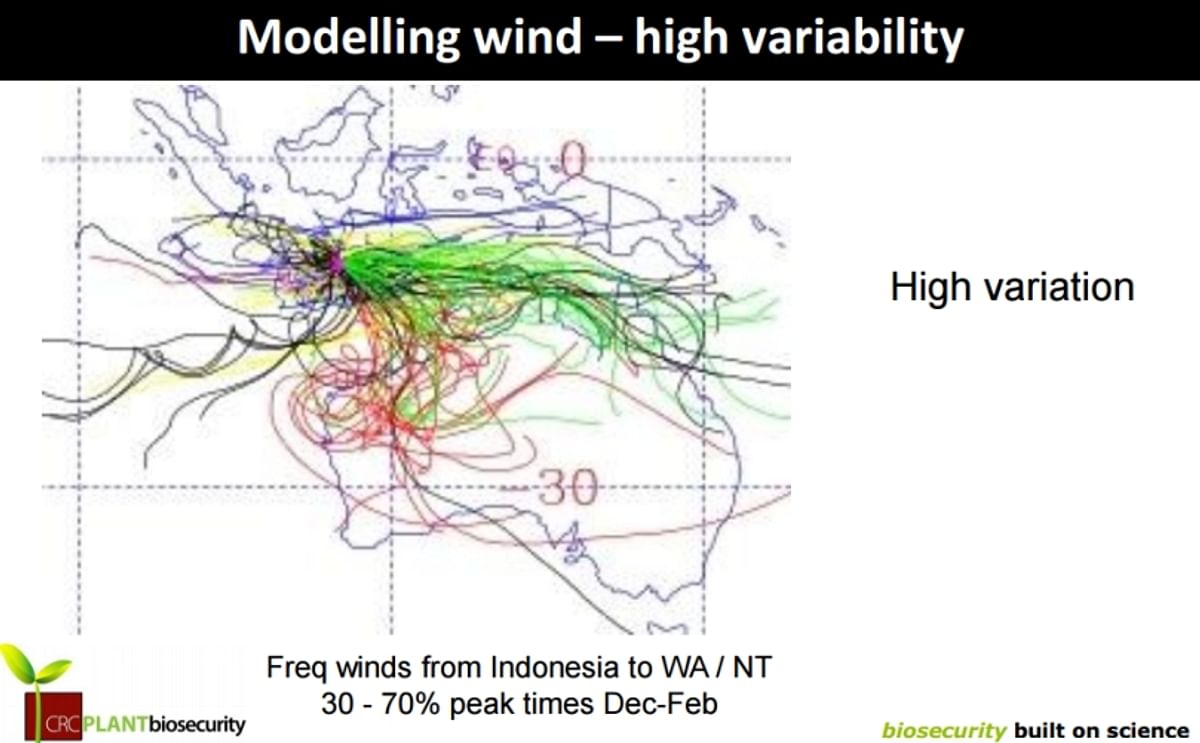 Modelling wind: 5 years daily wind trajectory 1994-1998 for the month February (Courtesy: CRC Plant biosecurity; earlier research). 