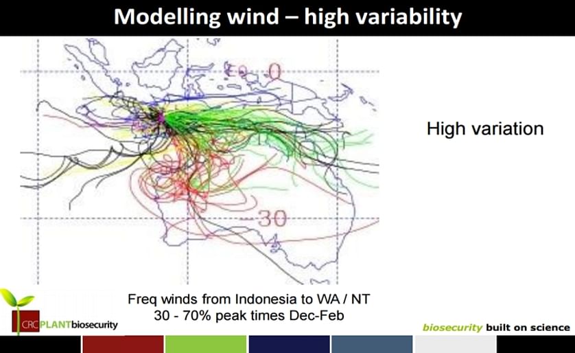 Modelling wind: 5 years daily wind trajectory 1994-1998 for the month February (Courtesy: CRC Plant biosecurity; earlier research). 