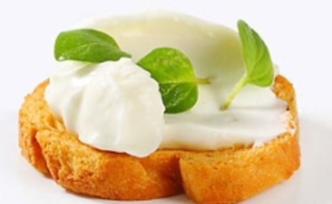 KMC's potato-based CheeseMaker solutions to help the production cream cheese KMC's potato-based CheeseMaker solutions to help the production cream cheese