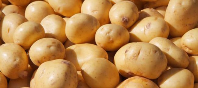 Crean comité de seguimiento de la producción de papa semilla (Buenos Aires)