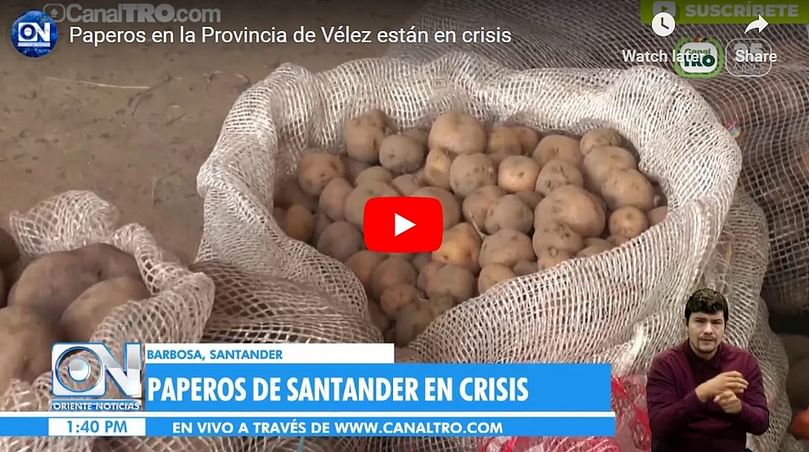 Paperos en la Provincia de Vélez están en crisis.