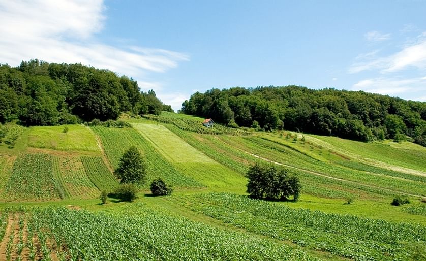 Agricultural Fields in Croatia (Hrvatska)
