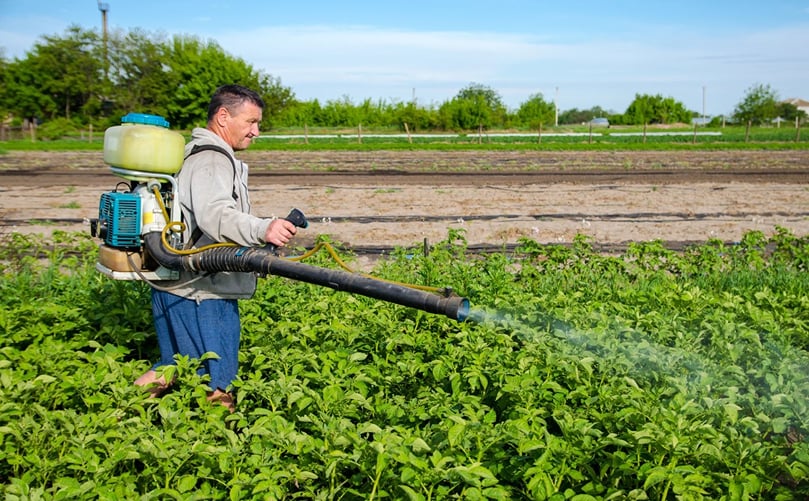 Safeguarding the Potato