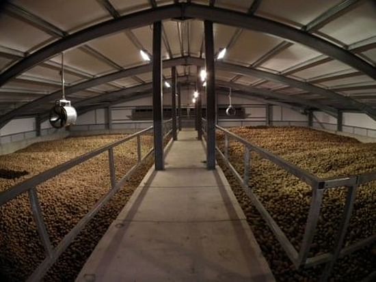 Fully filled bulk potato storage Fully filled bulk potato storage