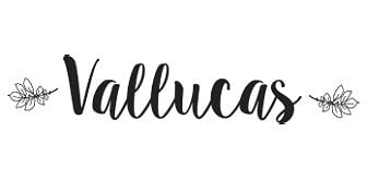 Vallucas Patatas Fritos