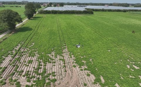 Croptic - Automatic Seed Potato Selection with Dronesv Croptic - Automatic Seed Potato Selection with Drones