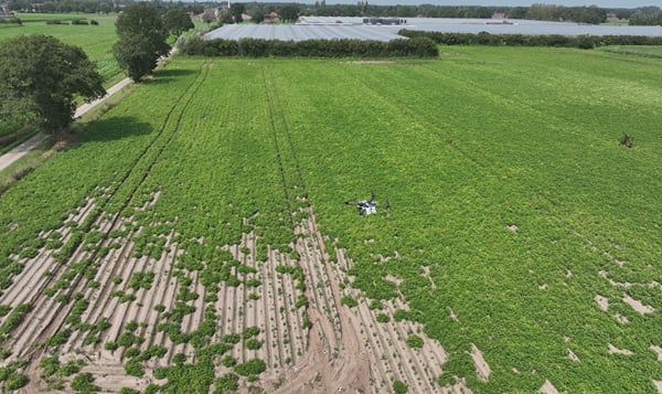 Croptic - Automatic Seed Potato Selection with Drones Croptic - Automatic Seed Potato Selection with Drones