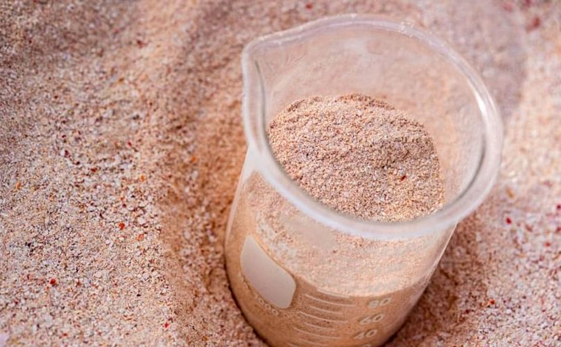 Dried lobster shells are processed in a blender and then grain mill, rendering them the texture of cornmeal. The powder is mixed into the top three of four inches of soil at a concentration of .02 to .08% of the soil’s weight. Dried lobster shells are processed in a blender and then grain mill, rendering them the texture of cornmeal. The powder is mixed into the top three of four inches of soil at a concentration of .02 to .08% of the soil’s weight.