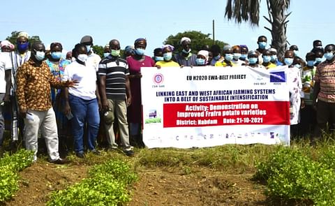 CSIR-SARI introduces new varieties of Frafra potato to farmers in Talensi and Nabdam, Northern Ghana. CSIR-SARI introduces new varieties of Frafra potato to farmers in Talensi and Nabdam, Northern Ghana.