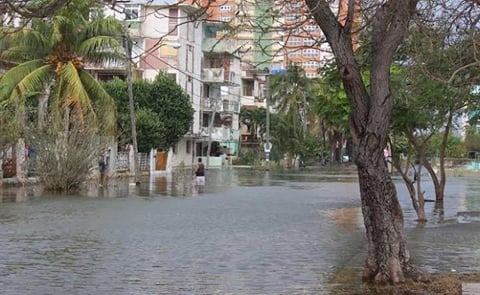 Flooding in the streets of Havana, Cuba (January 2016) due to excessive rainfall associated with El Niño (Courtesy: Yusnaby Post) Flooding in the streets of Havana, Cuba (January 2016) due to excessive rainfall associated with El Niño (Courtesy: Yusnaby Post)