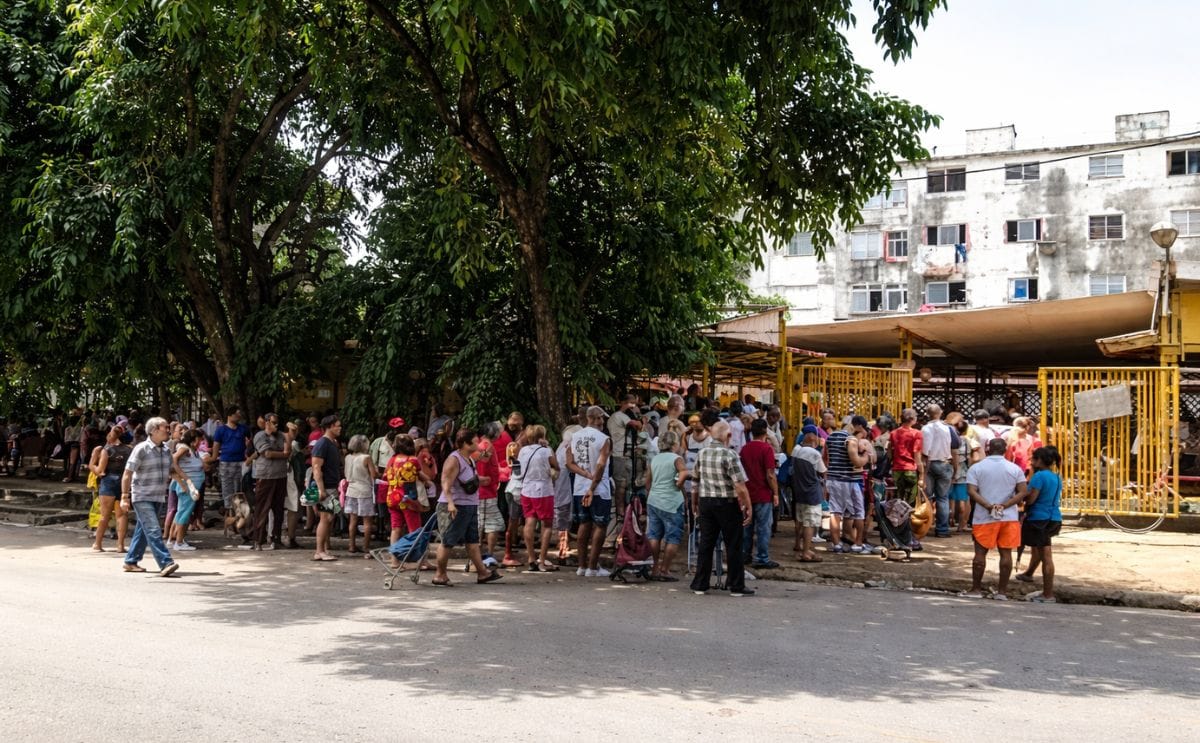 A la papa se la pelean en Cuba: sólo se ha vendido en abril y junio