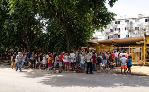 A la papa se la pelean en Cuba: sólo se ha vendido en abril y junio A la papa se la pelean en Cuba: sólo se ha vendido en abril y junio