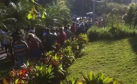 Cuba: Largas colas en La Habana por llegada de la papa a los mercados Cuba: Largas colas en La Habana por llegada de la papa a los mercados
