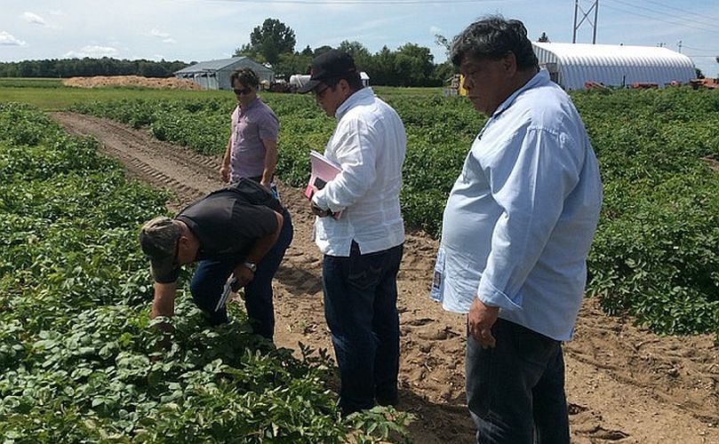 The Cuban delegation visited seed production fields 