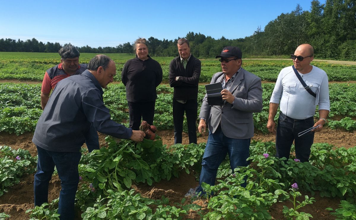 Cuban Delegation Visits Seed Potato Companies in Quebec