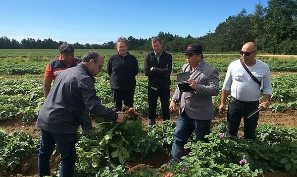 Cuban Delegation Visits Seed Potato Companies in Quebec