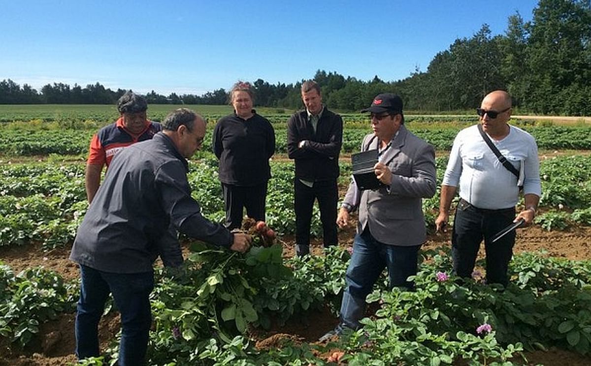 Cuban Delegation Visits Seed Potato Companies in Quebec Cuban Delegation Visits Seed Potato Companies in Quebec