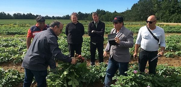 Cuban Delegation Visits Seed Potato Companies in Quebec