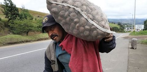 Ventas de carretera, la cara de la crisis de cultivadores de papa en Colombia
