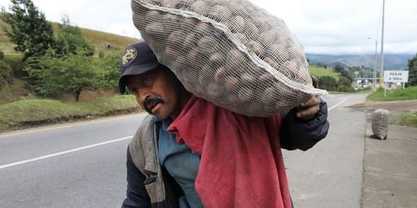 Ventas de carretera, la cara de la crisis de cultivadores de papa en Colombia