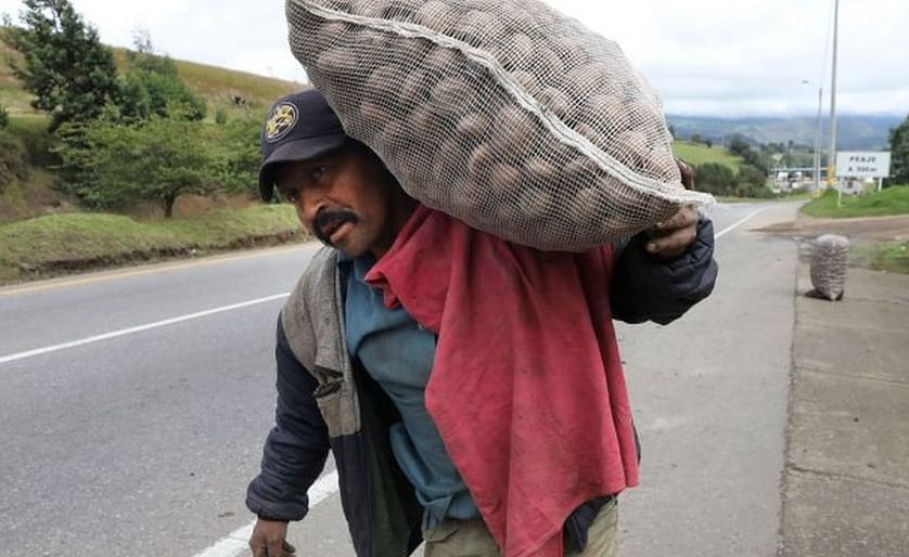 Un cultivador de papa camina por la carretera para vender su producción
