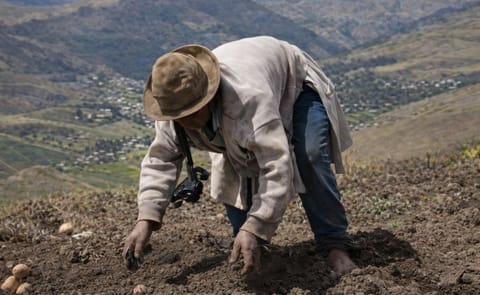 58 tecnologías tradicionales e innovadoras para cultivar papa 58 tecnologías tradicionales e innovadoras para cultivar papa