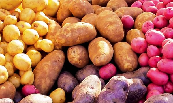 PCA: aardappelareaal België groeit 7 procent