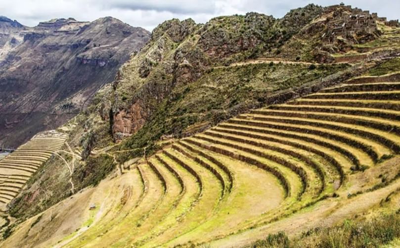 Potato field terracing is a common practice in the Andean Highlands Potato field terracing is a common practice in the Andean Highlands