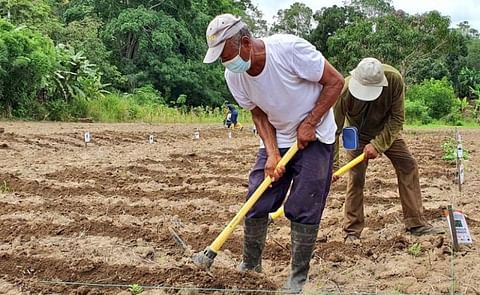 En próximas fechas, los agricultores de Esmeraldas, Ecuador realizarán una gira de intercambio en Honduras. En próximas fechas, los agricultores de Esmeraldas, Ecuador realizarán una gira de intercambio en Honduras.