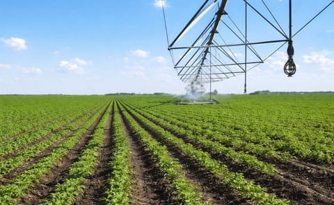 Argentina: El cultivo de la papa incorpora la agricultura de precisión y da un salto productivo Argentina: El cultivo de la papa incorpora la agricultura de precisión y da un salto productivo