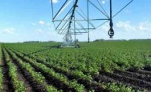 Argentina: El cultivo de la papa incorpora la agricultura de precisión y da un salto productivo Argentina: El cultivo de la papa incorpora la agricultura de precisión y da un salto productivo