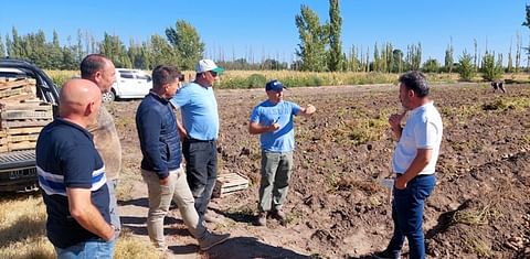 Argentina: Analizan los resultados del programa de cultivo de papas en Alvear
