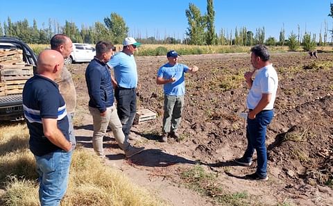 Argentina: Analizan los resultados del programa de cultivo de papas en Alvear.
