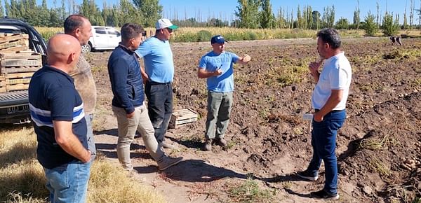 Argentina: Analizan los resultados del programa de cultivo de papas en Alvear