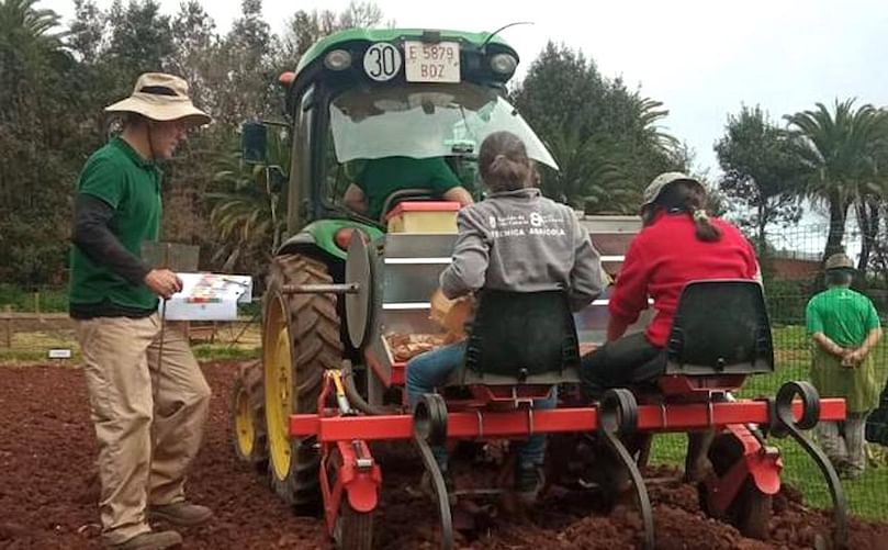 Tareas de plantación de las 28 variedades de papas en la finca de Osorio.