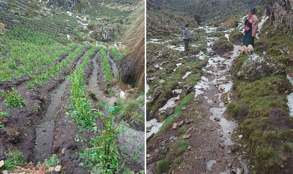 Perú: lluvia y granizo perjudican la cosecha