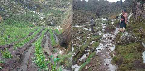 Perú: lluvia y granizo perjudican la cosecha