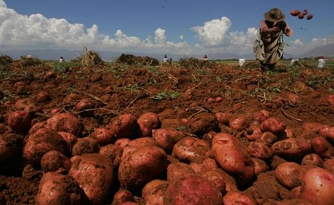 NEIKER-Tecnalia, premiado en Chile por investigar la adecuación del cultivo de patata al cambio climático NEIKER-Tecnalia, premiado en Chile por investigar la adecuación del cultivo de patata al cambio climático